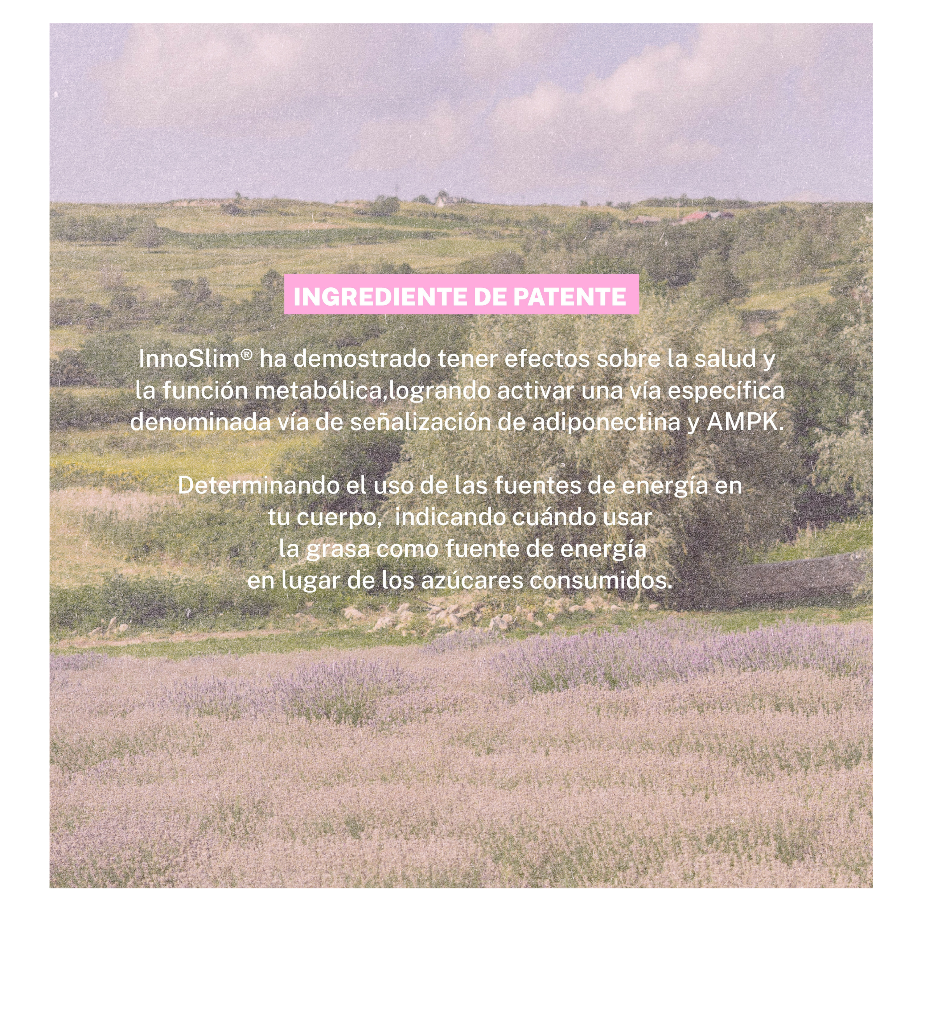 Her Carbs - Innoslim ®